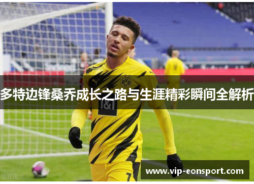 多特边锋桑乔成长之路与生涯精彩瞬间全解析