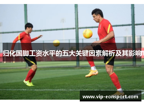 归化国脚工资水平的五大关键因素解析及其影响