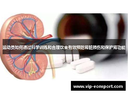 运动员如何通过科学训练和合理饮食有效预防肾脏损伤和保护肾功能