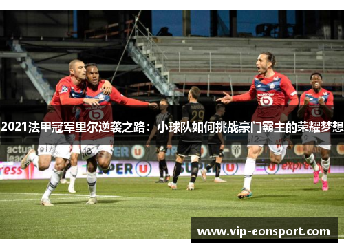 2021法甲冠军里尔逆袭之路：小球队如何挑战豪门霸主的荣耀梦想