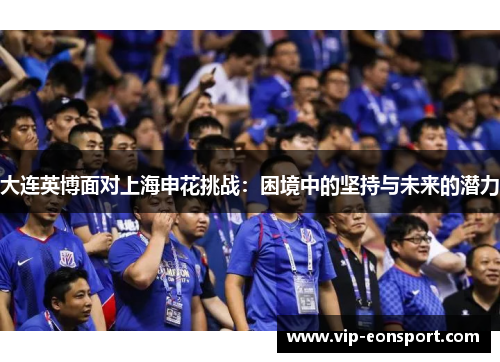 大连英博面对上海申花挑战：困境中的坚持与未来的潜力