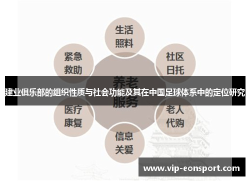 建业俱乐部的组织性质与社会功能及其在中国足球体系中的定位研究