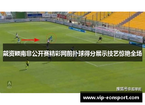 戴资颖南非公开赛精彩网前扑球得分展示技艺惊艳全场