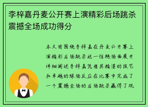 李梓嘉丹麦公开赛上演精彩后场跳杀震撼全场成功得分